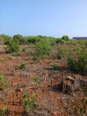 2 Acres First Row Beachfront Mida Creek Watamu