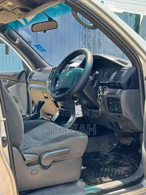 Toyota Land Cruiser Prado 2007 Silver