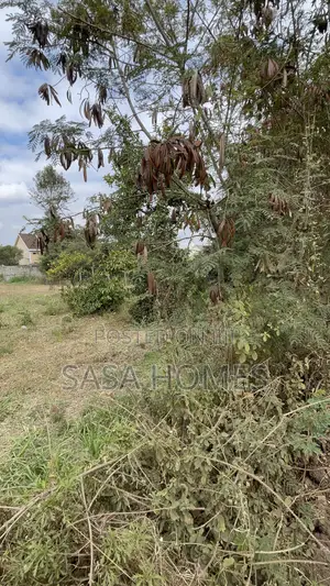 Olkeri Sasa Homes Land for Sale