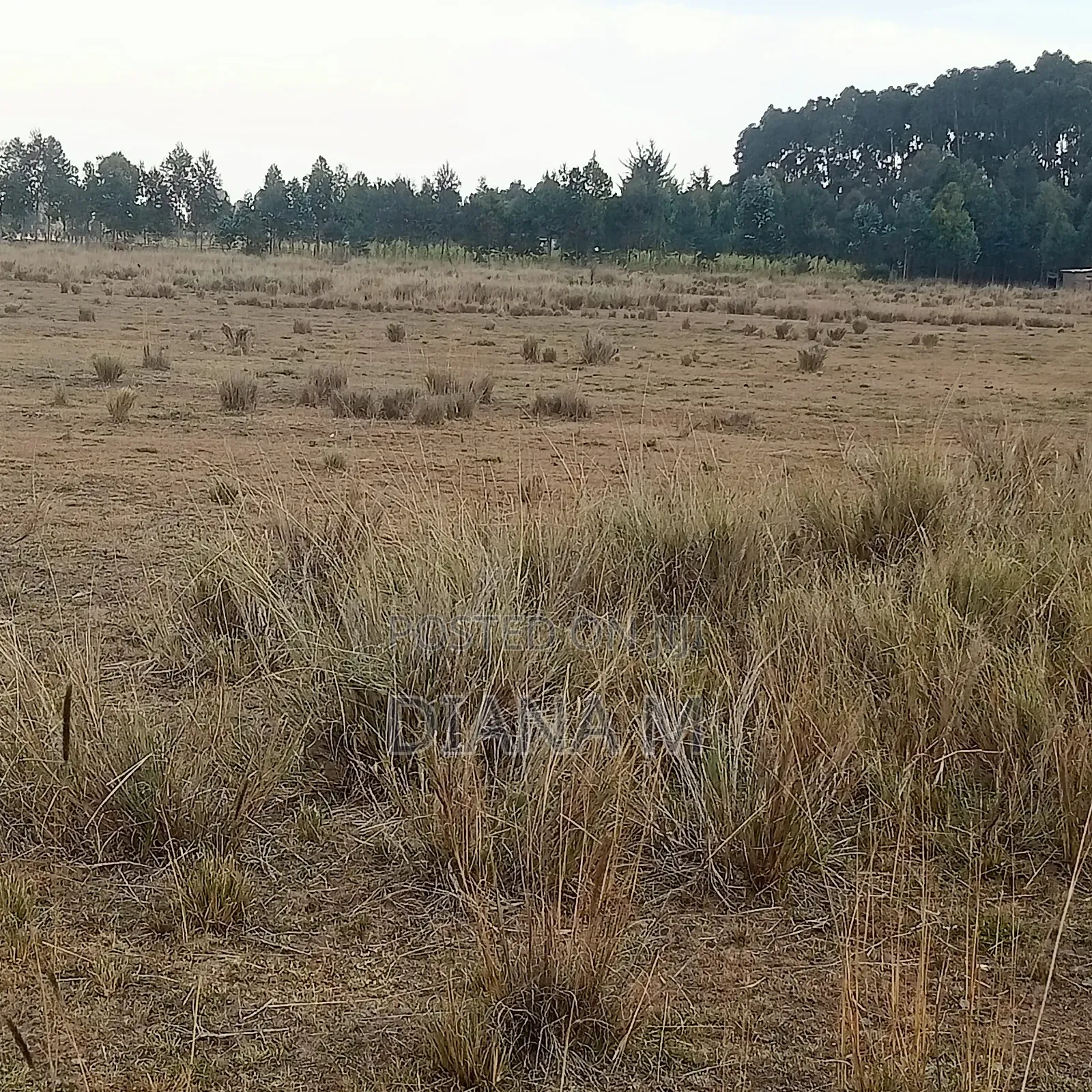 10 Acres on Sale in Ol Jororok