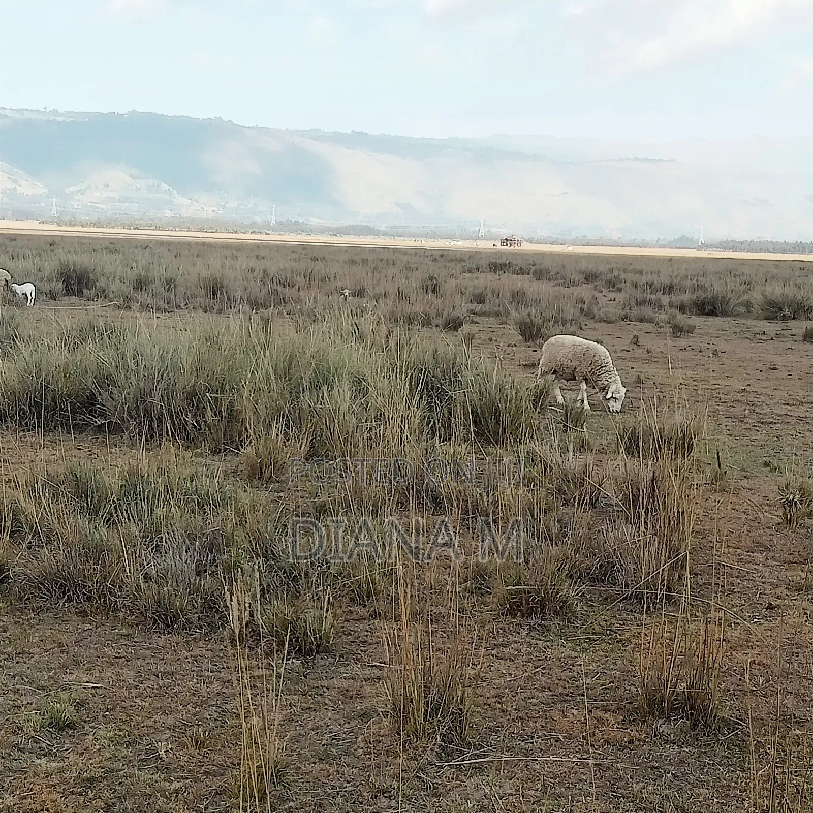 10 Acres on Sale in Ol Jororok