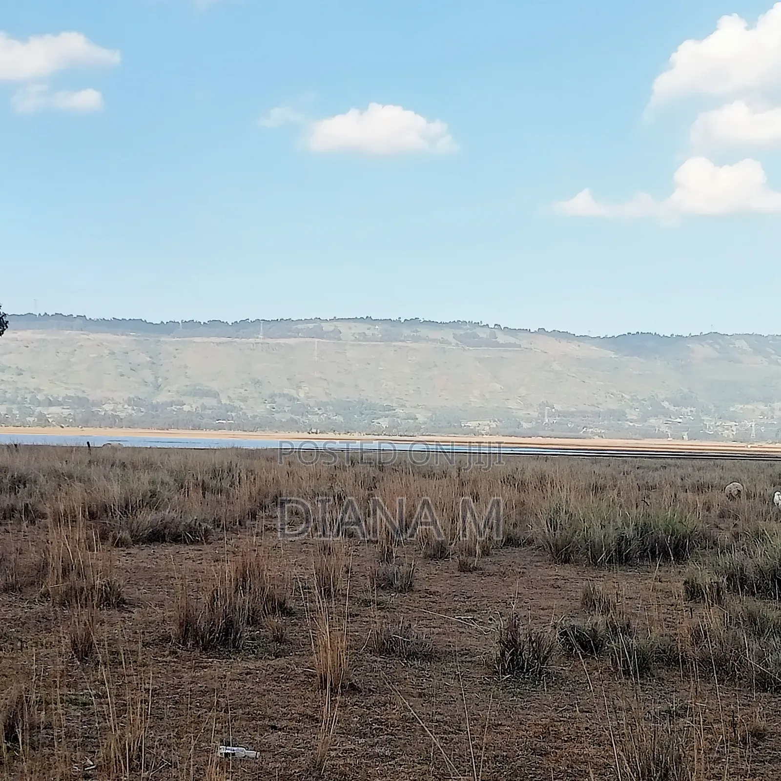 10 Acres on Sale in Ol Jororok