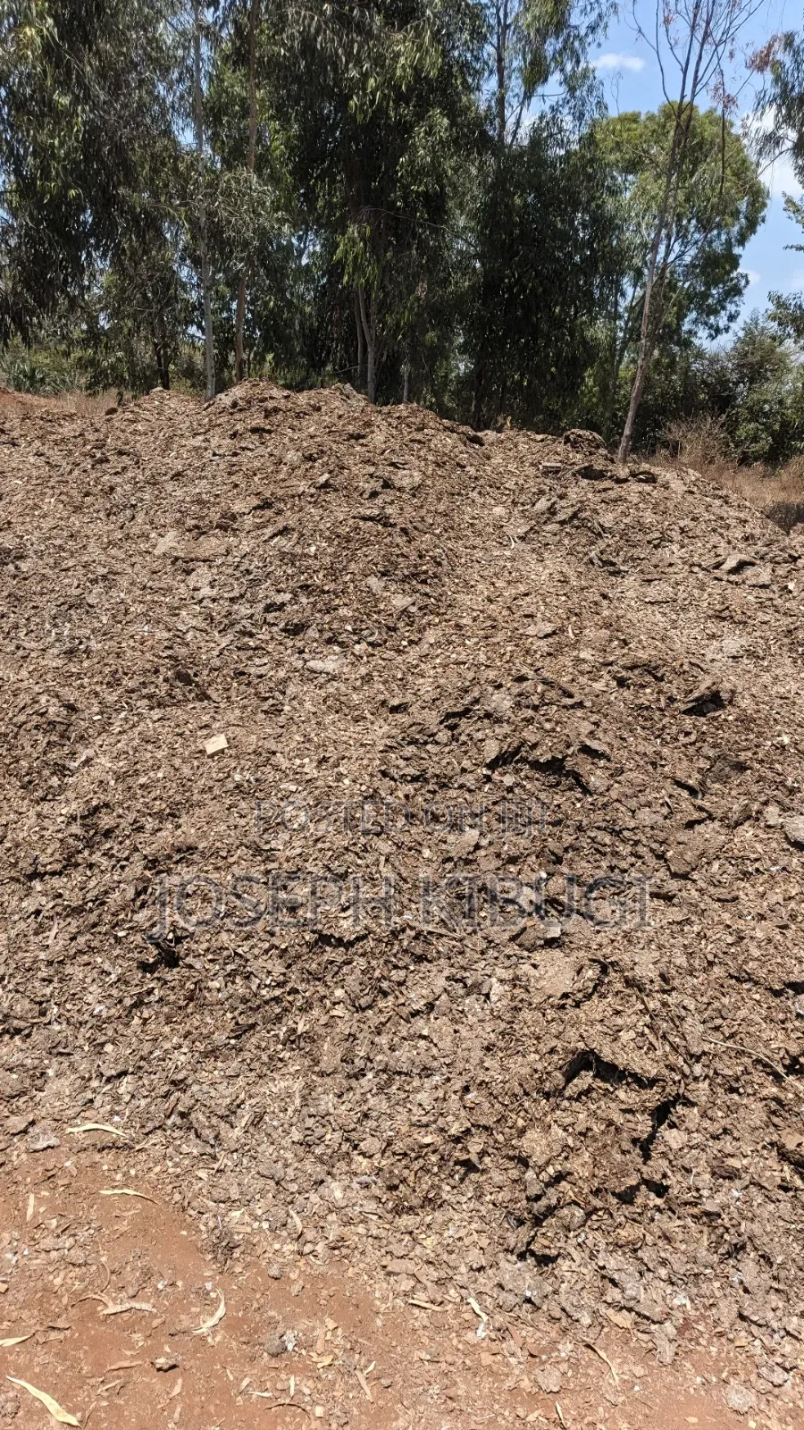 Manure for Sale