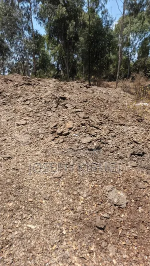 Manure for Sale