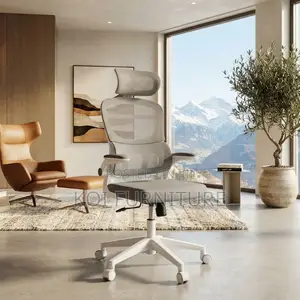 Office Chairs; Orthopedic High Backrest Ergonomic Computer Chairs