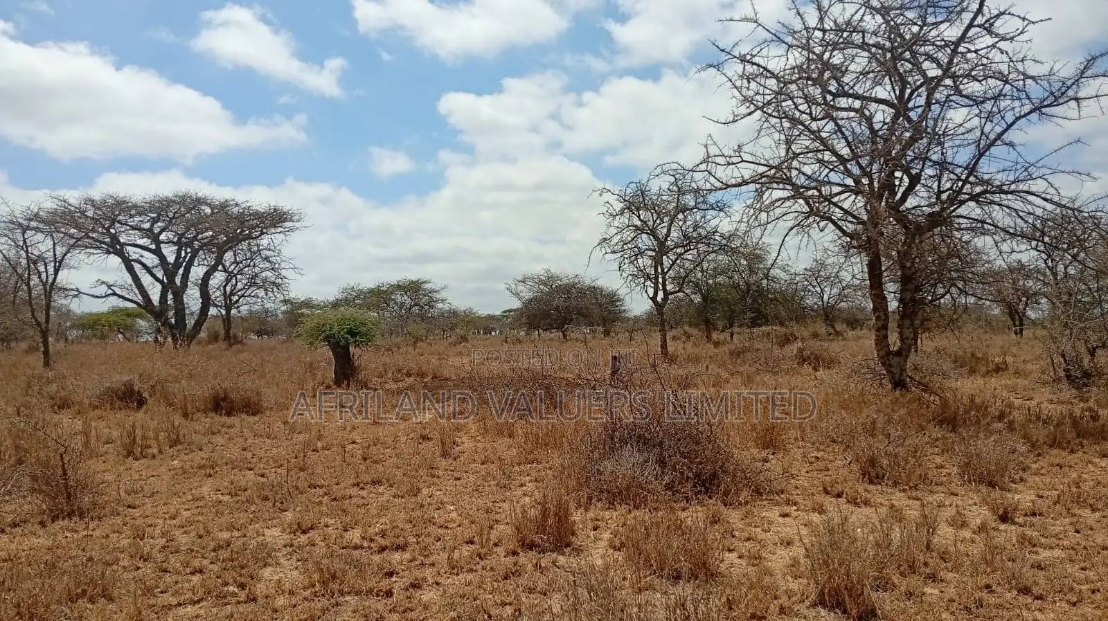 Plots for Sale