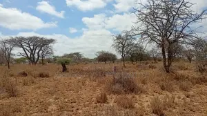Plots for Sale