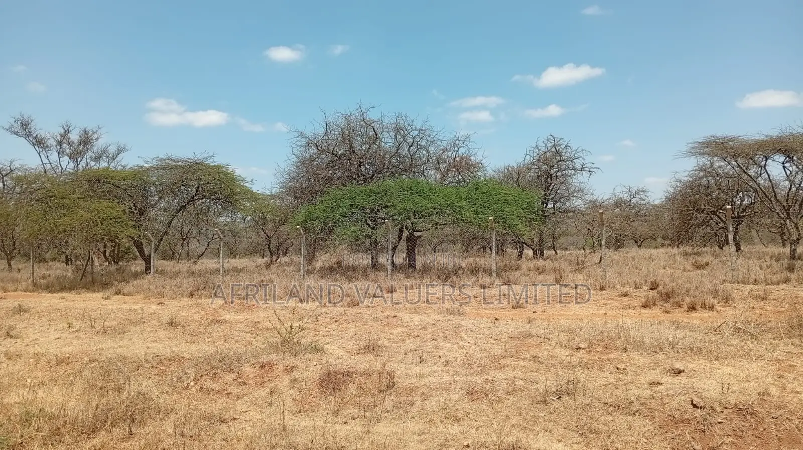 Plots for Sale