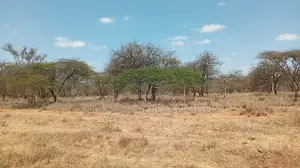 Plots for Sale
