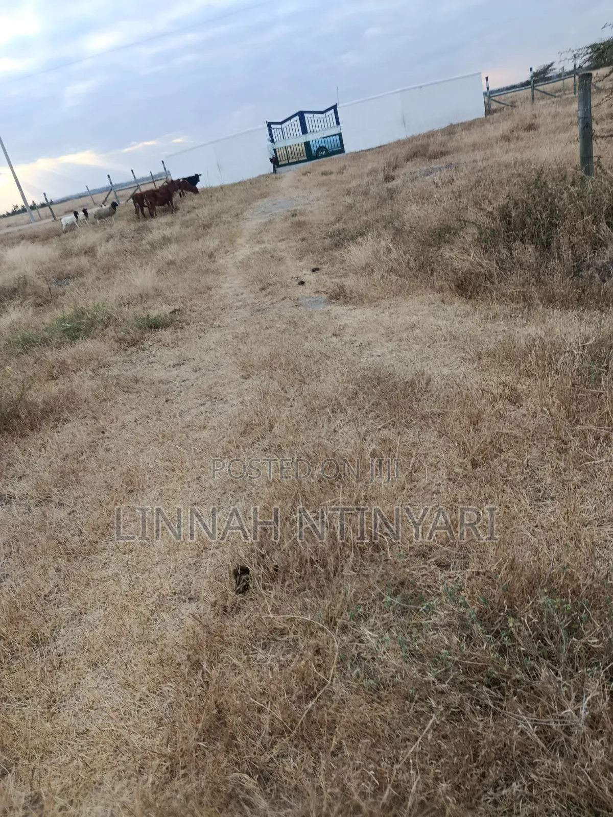 50*100 Plots for Sale at Kisaju