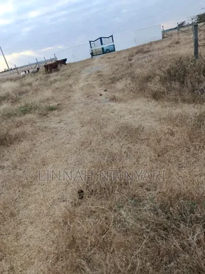50*100 Plots for Sale at Kisaju