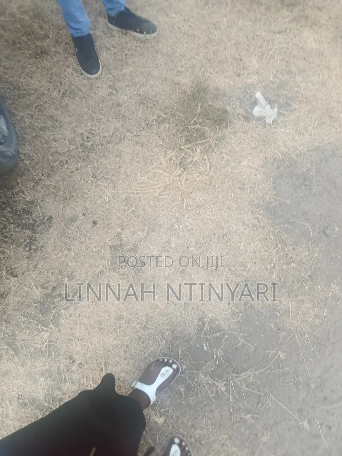 50*100 Plots for Sale at Kisaju