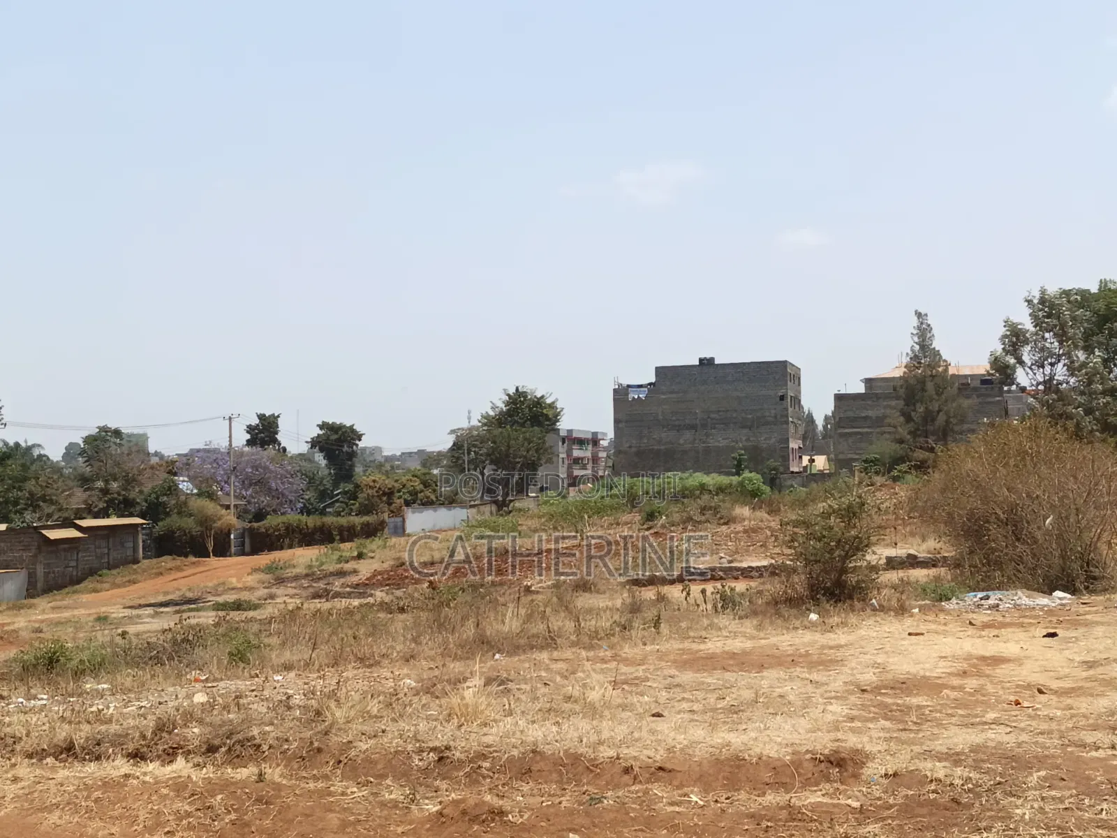 Juja Thome Prime Plot