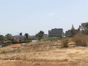 Juja Thome Prime Plot