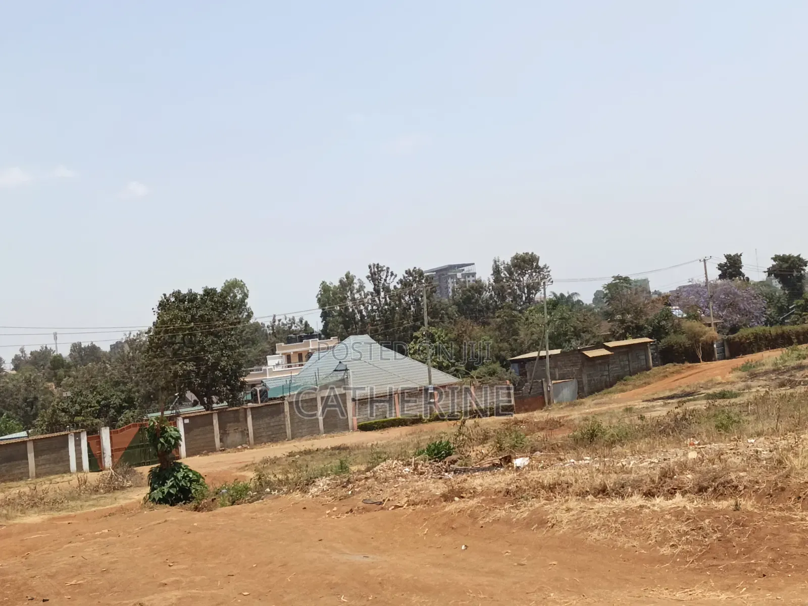 Juja Thome Prime Plot