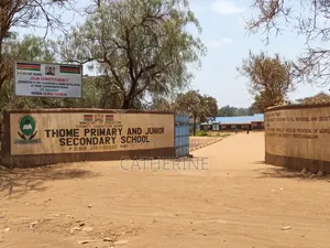 Juja Thome Prime Plot