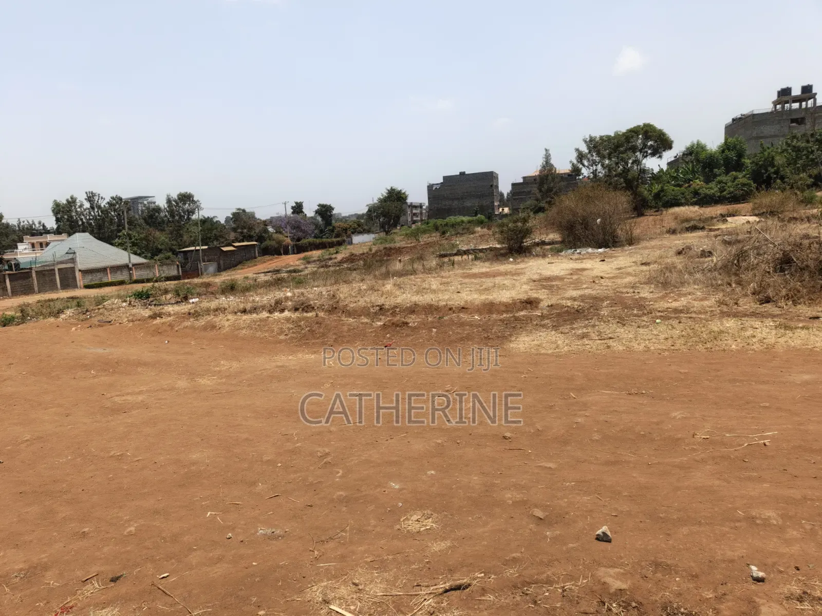 Juja Thome Prime Plot