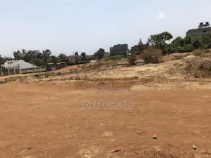 Juja Thome Prime Plot