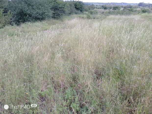 Land for Sale - thumbnail 6