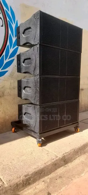 Locally Made 12 Line Array Cabinet