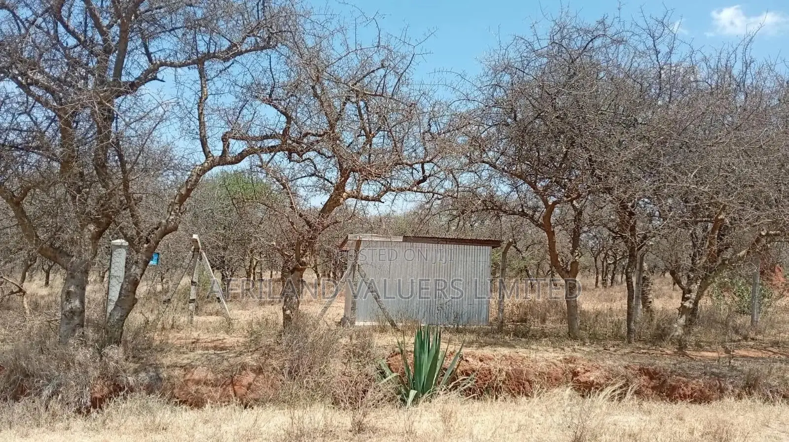 Plots for Sale