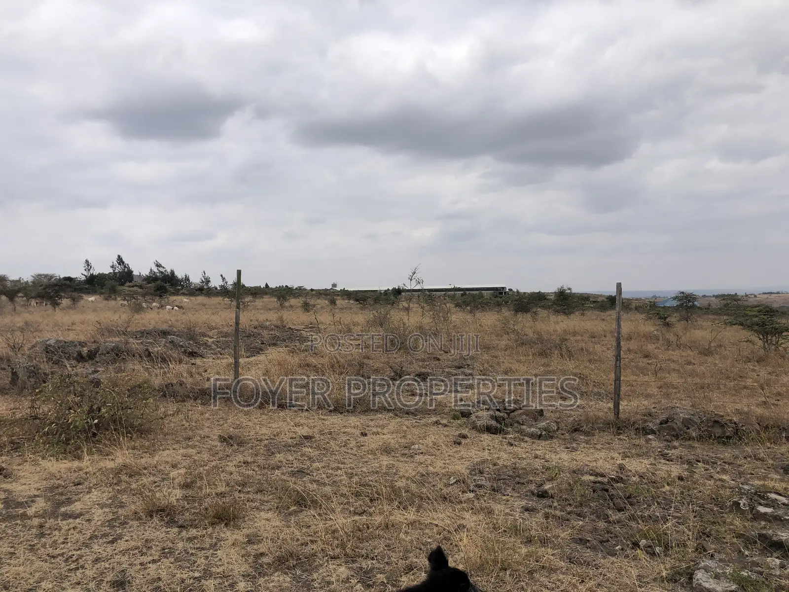 10 Scenic Acres in Tuala