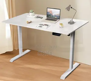 Adjustable Office Desk : 120CM Electric Lifting Table