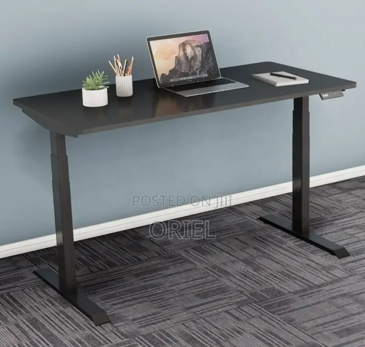 Adjustable Office Desk : 120CM Electric Lifting Table