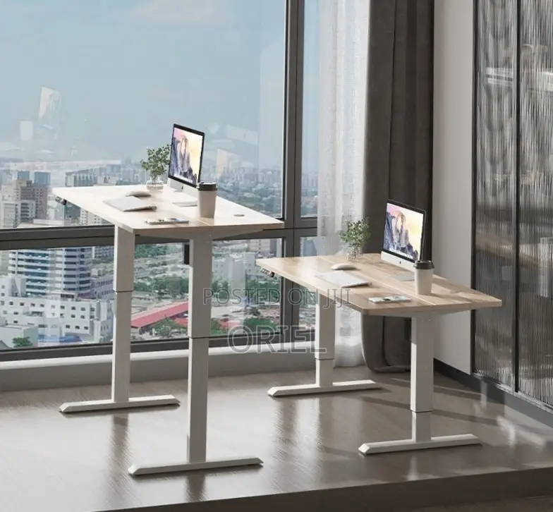 Adjustable Office Desk : 120CM Electric Lifting Table