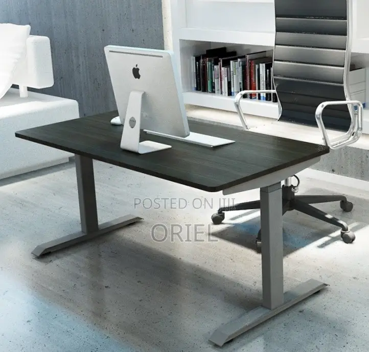 Adjustable Office Desk : 120CM Electric Lifting Table