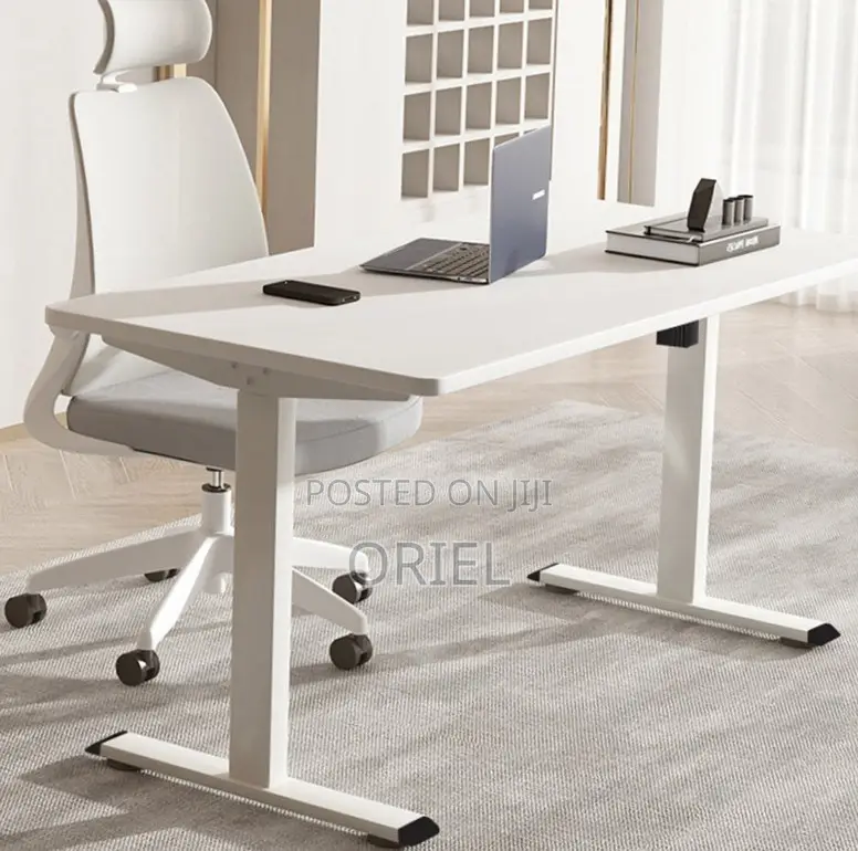 Adjustable Office Desk : 120CM Electric Lifting Table