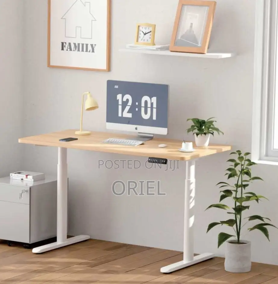 Adjustable Office Desk : 120CM Electric Lifting Table