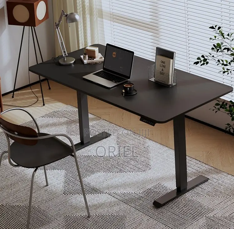 Adjustable Office Desk : 120CM Electric Lifting Table