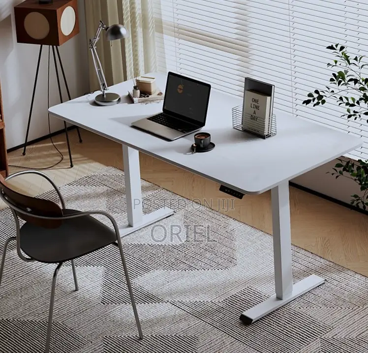 Adjustable Office Desk : 120CM Electric Lifting Table
