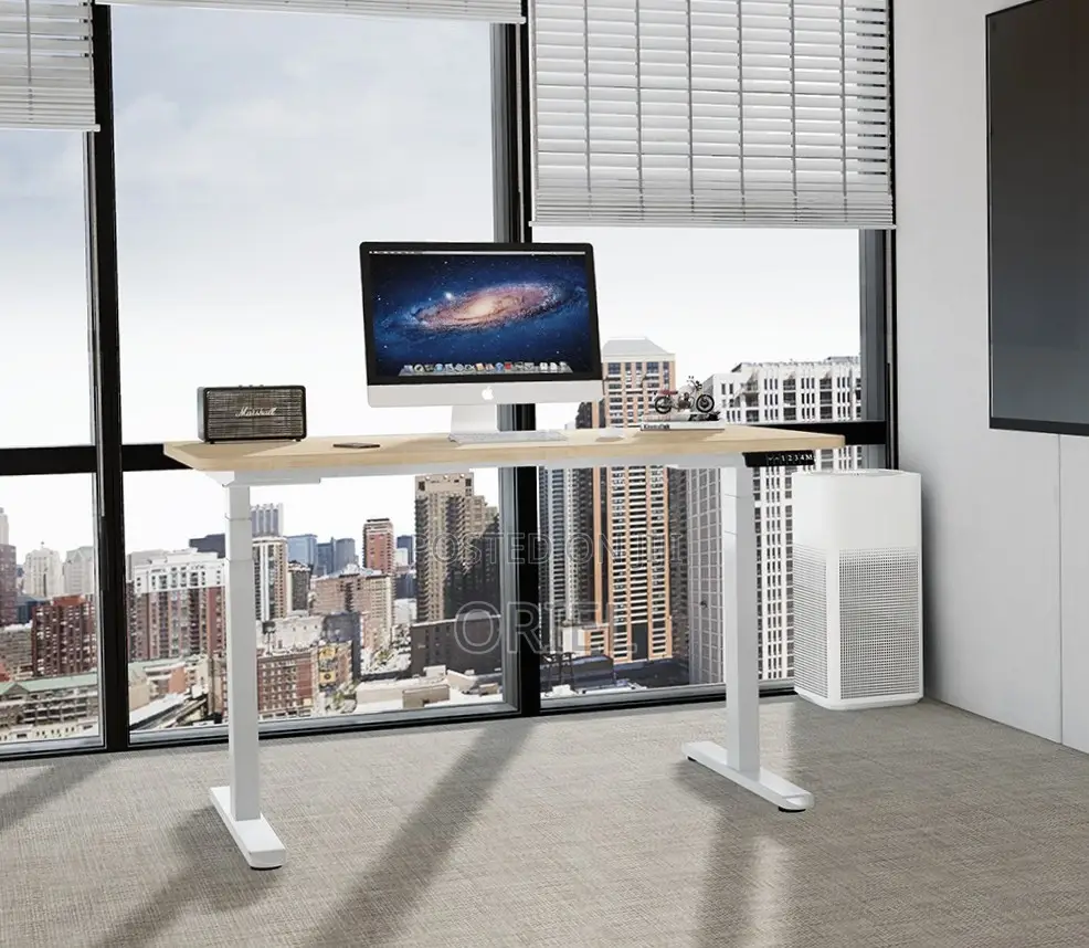 Adjustable Office Desk : 120CM Electric Lifting Table