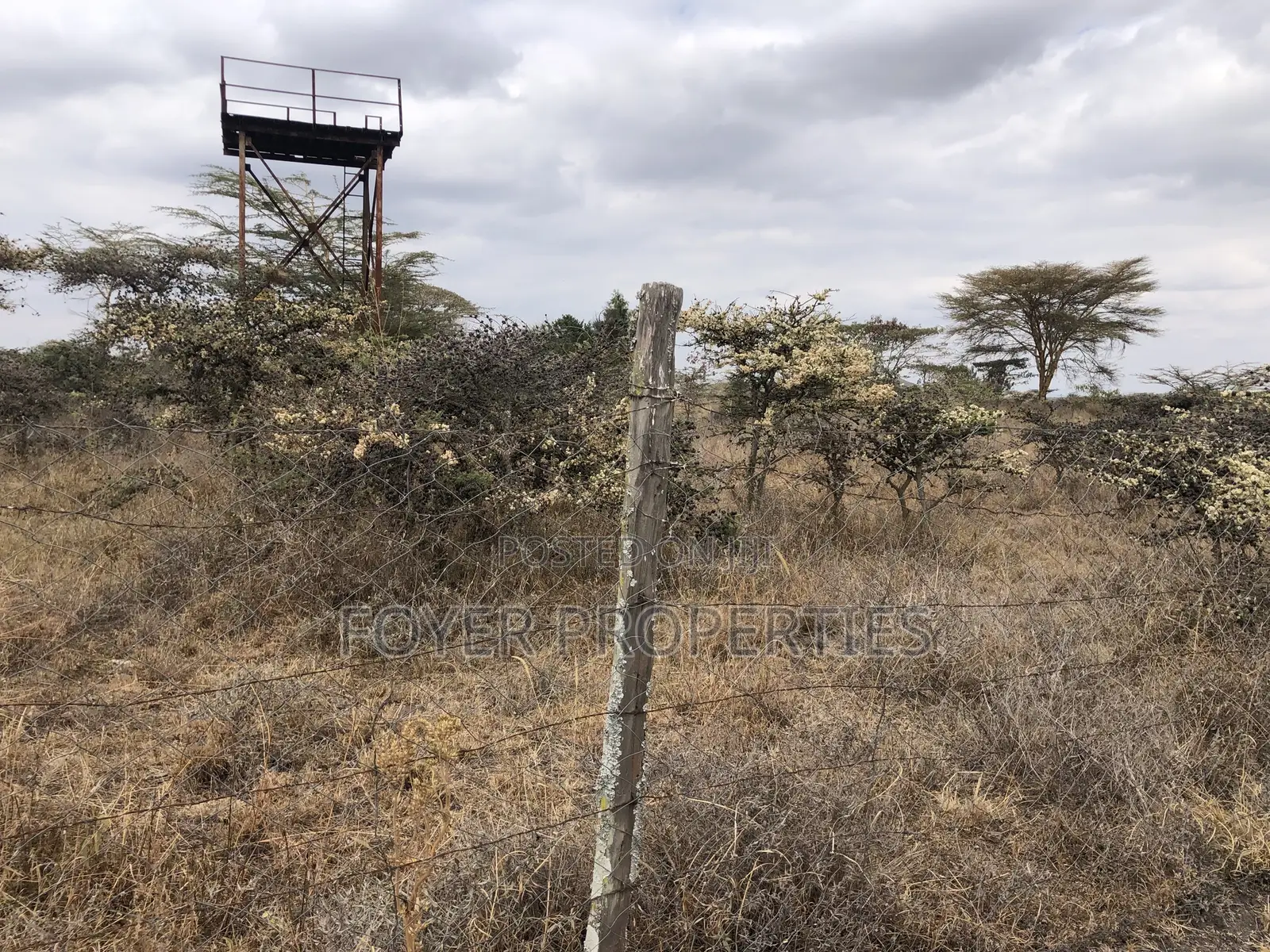 10 Scenic Acres in Tuala