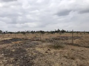 10 Scenic Acres in Tuala