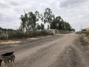 10 Scenic Acres in Tuala