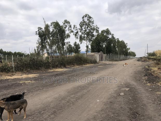 10 Scenic Acres in Tuala