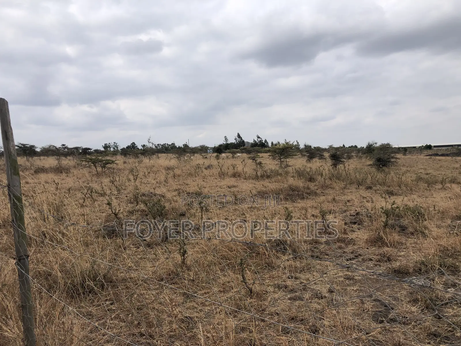 10 Scenic Acres in Tuala