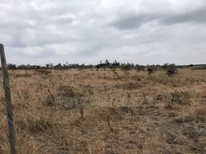 10 Scenic Acres in Tuala