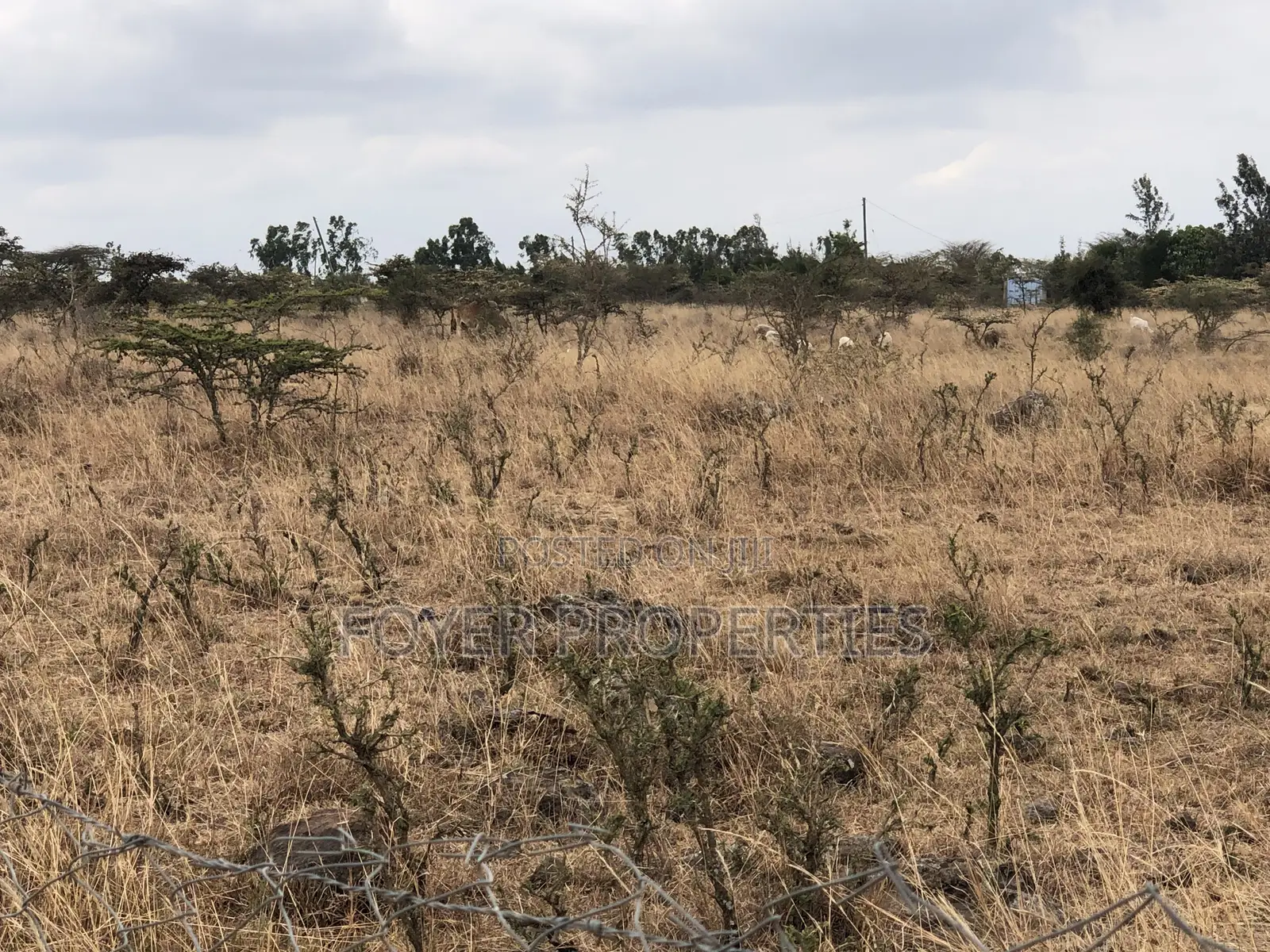 10 Scenic Acres in Tuala