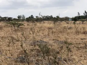 10 Scenic Acres in Tuala