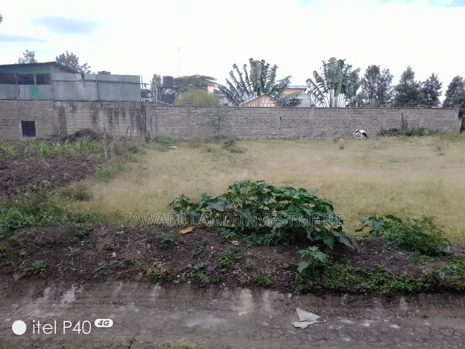 Plot for Sale
