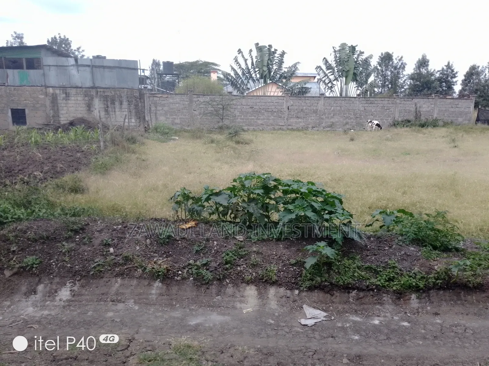 Plot for Sale