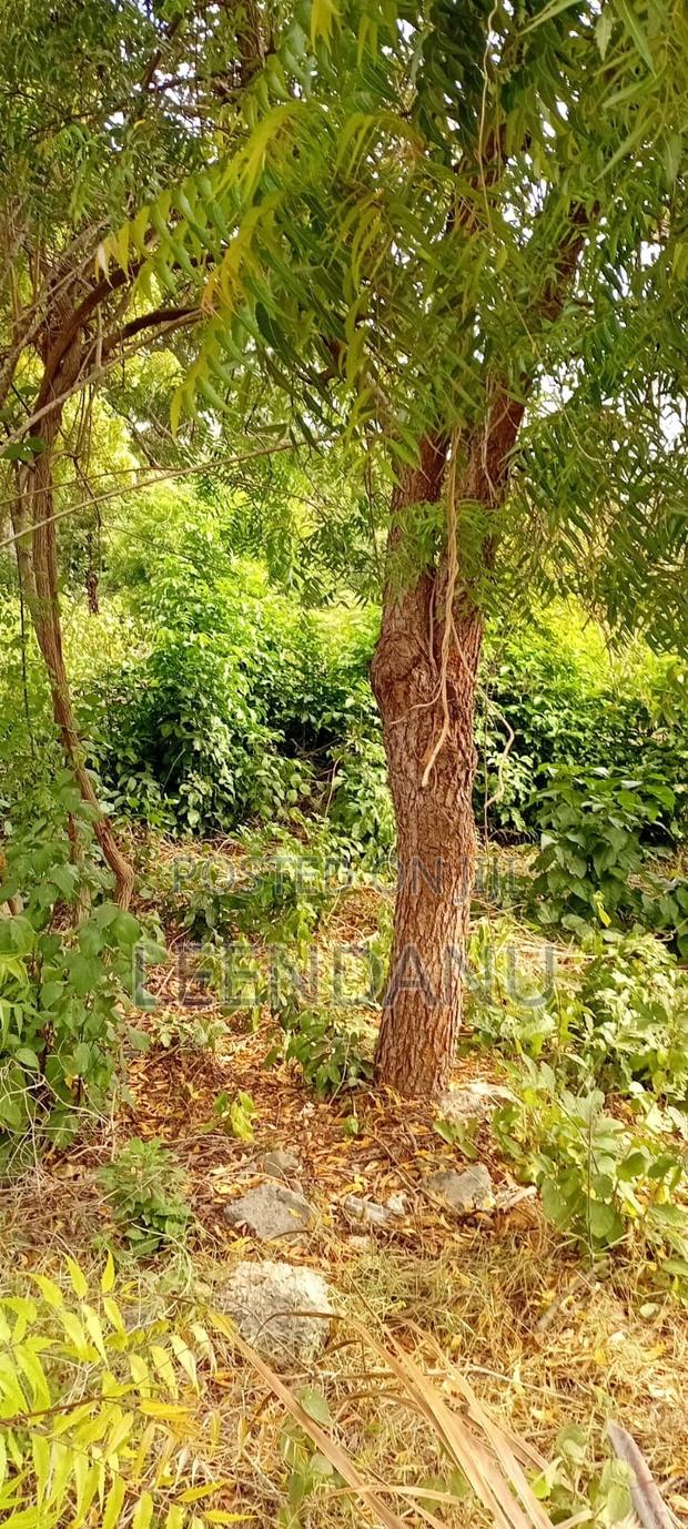 1/2 Acre Residential Plot - thumbnail 2