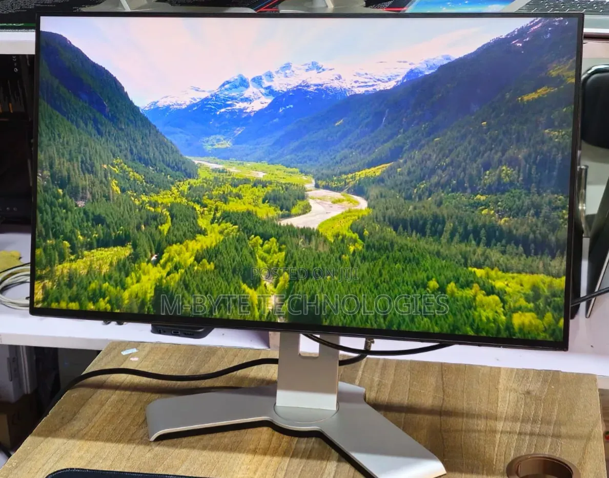 Dell U2421HE Monitor