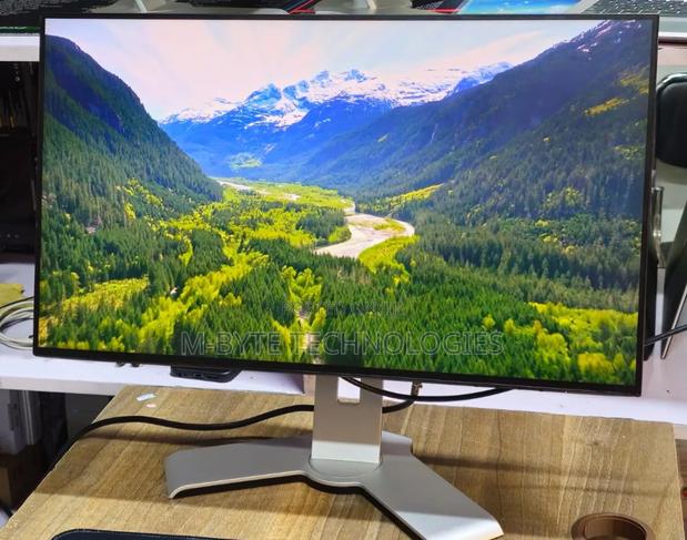 Dell U2421HE Monitor