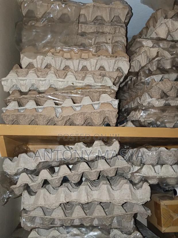 30 Carton Egg Tray - main view