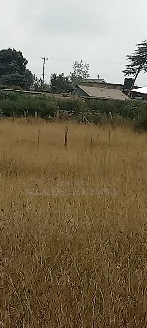 1.5acre on Sale at Ndeiya Limuru Kiambu County